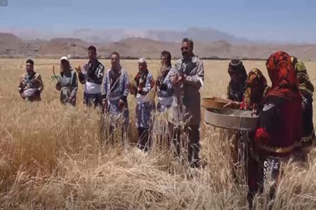 جشن برداشت گندم در لرستان؛ پیش‌بینی برداشت ۵۵۰ هزار تن گندم و ۱۵۰ هزار تن جو