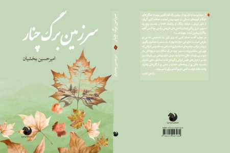 سفری خیال‌انگیز از خرم‌آباد تا نیاگارا در رمان «سرزمین برگ چنار»