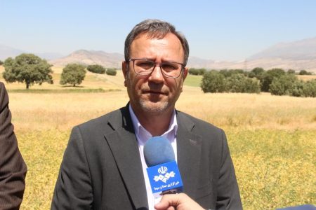 تلاش برای پایداری تولید و افزایش بهرهوری کشاورزی در لرستان