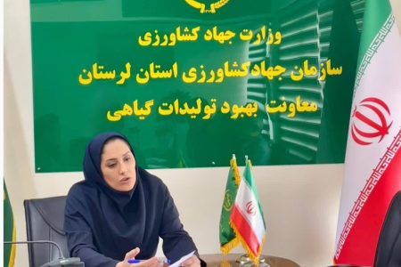 تعیین قیمت فروش بذر گندم و جو در لرستان