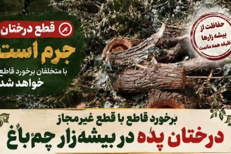 دستگیری عامل قطع بی‌رحمانه درختان کهنسال «پده» در چم‌باغ ویسیان / پرونده به مراجع قضایی ارجاع شد