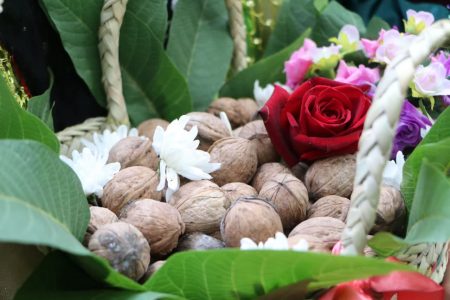 عکس | «کهمان»؛ میزبان جشنواره ملی گردو